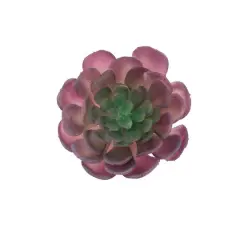 Flora Bunda&reg; Red Large Echeveria Powder Succulent Pick, 6ct.