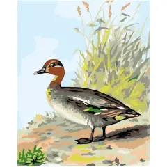 8" x 10" Vintage Duck Paint-by-Number Kit with Wood Display Hanger by Artist's Loft&reg;