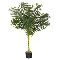 4ft. Potted Golden Cane Palm Tree