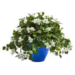 22" White Bougainvillea in Blue Planter