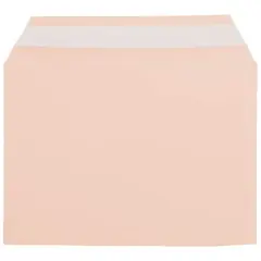 JAM Paper 5.063" x 7.188" Cello Sleeves with Self Adhesive Closures, 100ct. Peach