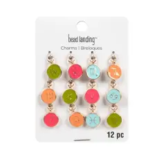 Zodiac Enamel Charm Set by Bead Landing&trade;
