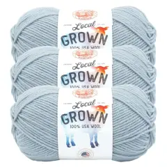3 Pack Lion Brand&reg; Local Grown Yarn Bluegrass