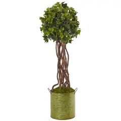 2.5ft. English Ivy Tree in Metal Planter
