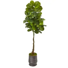 6ft. Fiddle Leaf Tree in Ribbed Metal Planter