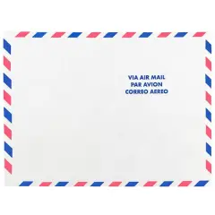 JAM Paper 9" x 12" White Airmail Tyvek Envelopes, 25ct.