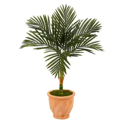 3.5ft. Golden Cane Palm Tree in Terra-Cotta Planter