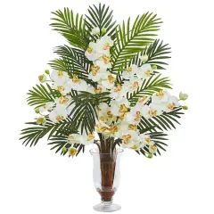 2.5ft. Phalaenopsis Orchid & Areca Palm Arrangement in Glass Vase Cream