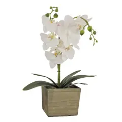 21" Orchid Flower In Wood Box White