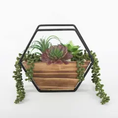 Flora Bunda&reg; 11" Succulent Arrangement in Hexagon Wood & Metal Wall Accent