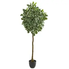 6ft. Potted Green Variegated Aralia Artificial Tree