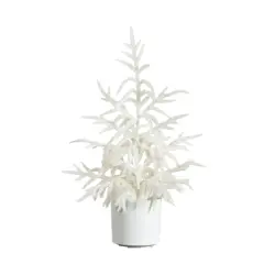 2ft. Artificial Real Touch White Norfolk Island Pine Christmas Tree with Natural Look