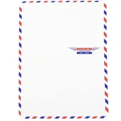 JAM Paper 9" x 12" White Airmail Envelopes