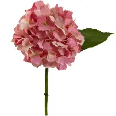 Hydrangea Stem, 12ct. Pink