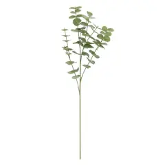 Green Gunni Eucalyptus Stem by Ashland&reg;