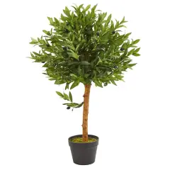 3ft. Potted Olive Topiary Tree