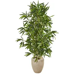 5ft. Bamboo Tree in Sand Colored Planter