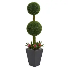 5ft. Double Boxwood Ball Topiary Tree with Bromeliads in Slate Planter