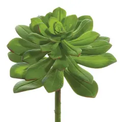 Green Echeveria Pick with Red Detailed Tips