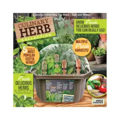 Biosphere Terrarium - Culinary Herb Collection