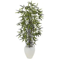 5ft. Black Bamboo Tree in White Oval Planter