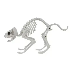 11" Cat Skeleton by Ashland&reg;