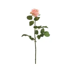 Peach & Cream Confetti Rose Spray