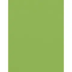 PA Paper&trade; Accents 8.5" x 11" 73lb. Muslin Cardstock Paper, 1,000 Sheets Tree Frog