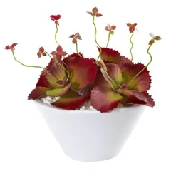 8" Burgundy Succulent Artificial Plant in White Bowl