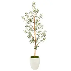 5.5ft. Olive Artificial Tree in White Planter