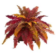 19" Autumn Boston Fern in Classic Planter