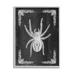 Stupell Industries Black & White Spider Framed Giclee Art Gray