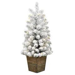 3ft. Pre-Lit Flocked Gifford Slim Potted Pine Artificial Christmas Tree, Warm White LED Lights