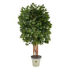 5.5ft. Super Deluxe Ficus Tree in Decorative Planter