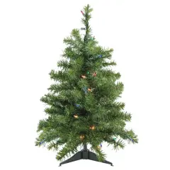 2ft. Pre-Lit Canadian Pine Artificial Christmas Tree, Multicolor Lights