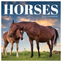 TF Publishing 2025 Horses Wall Calendar