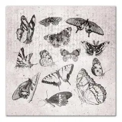 Grayscale Butterflies 24" x 24" Canvas Wall Art