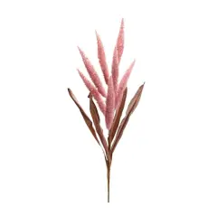 35.5" Dark Pink Foxtail Plume Stems, 2ct.