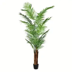 8ft. Potted Giant Areca Palm Tree