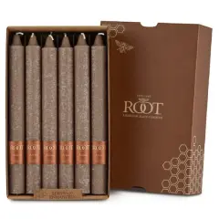 Root Candles 9" Unscented Timberline&trade; Arista&trade; Taper Candles, 12ct. Portobello