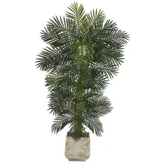 6.5ft. Golden Cane Palm Tree in White Planter