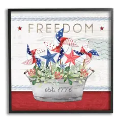 Stupell Industries Freedom Americana Floral Pinwheels Framed Giclee Art Black