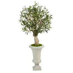 3.5ft. Olive Tree in Sand Colored Urn