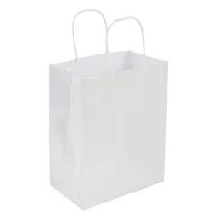 Medium Silver Gift Bag Value Pack by Celebrate It&trade;