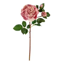 Pink Purple Rose Stem, 6ct.