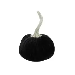 Flora Bunda&reg; 5" Velvet Decorative Pumpkin Black