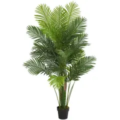 6ft. Potted Hawaii Palm Tree