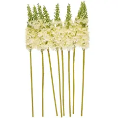 34" White Eremurus Artificial Flower Stem, 8ct.