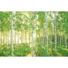 Komar Sunday Wall Mural