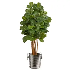 5ft. Fiddle Leaf Fig Artificial Tree in Handmade Black and White Natural Jute and Cotton Planter